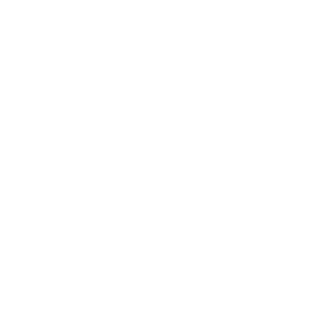 Ford Fancar